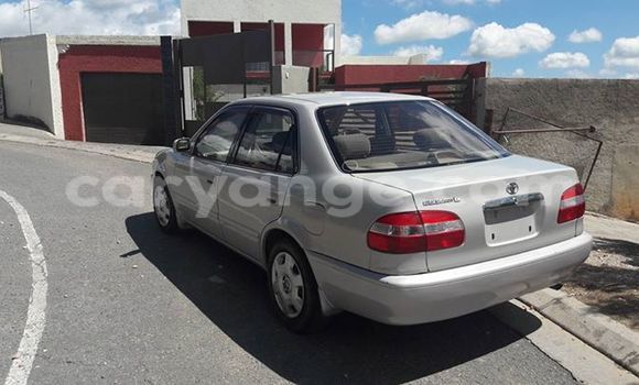 Buy Used Toyota Corolla Silver Car in Windhoek in Namibia Buy Used Toyota Corolla Silver Car in Windhoek in Namibia