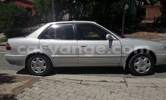 Buy Used Toyota Corolla Silver Car in Windhoek in Namibia Buy Used Toyota Corolla Silver Car in Windhoek in Namibia