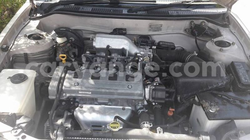 Big with watermark 16298494 1556577997703333 5880869471342312895 n