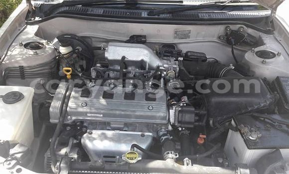 Buy Used Toyota Corolla Silver Car in Windhoek in Namibia Buy Used Toyota Corolla Silver Car in Windhoek in Namibia