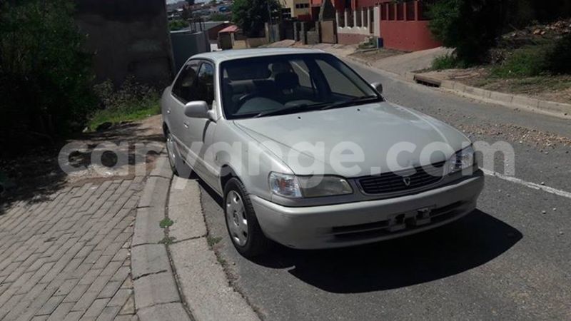 Big with watermark 16299227 1284429018289475 5943388659634541262 n