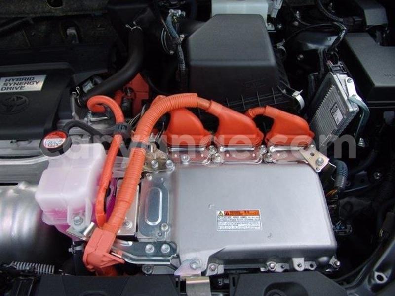 Big with watermark 1