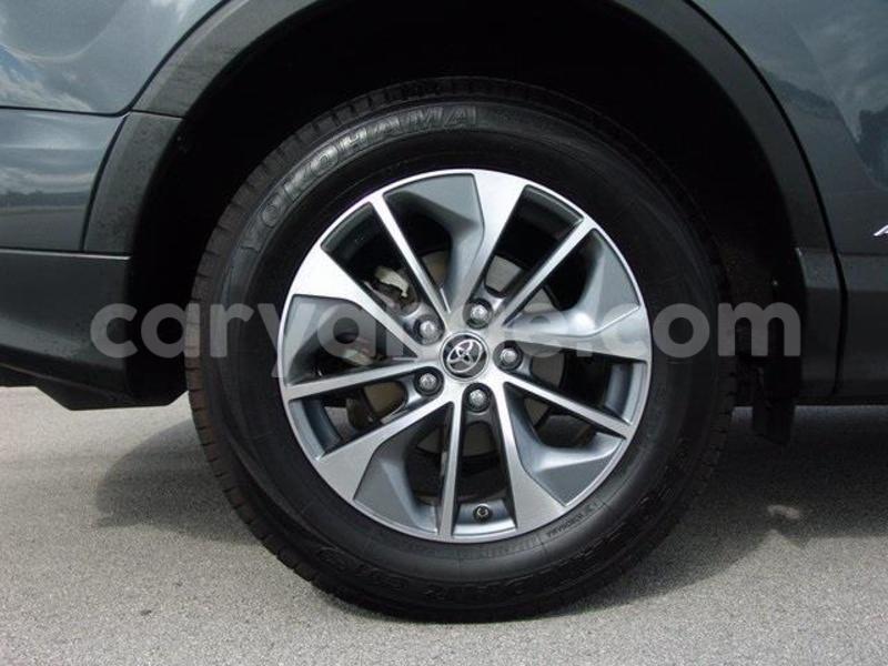 Big with watermark 8