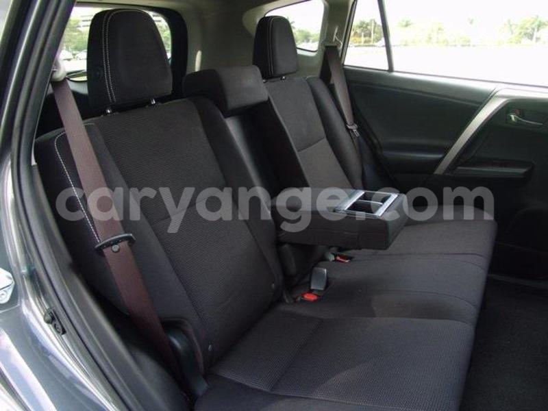 Big with watermark 26