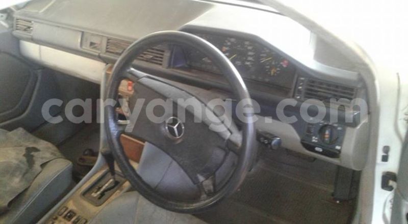 Big with watermark 16712011 1158145860969845 2370005447690403421 n