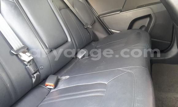 Buy Used Kia Sportage Silver Car in Ongwediva in Oshana Buy Used Kia Sportage Silver Car in Ongwediva in Oshana