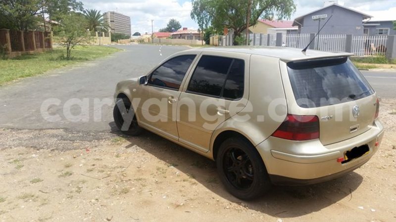 Big with watermark 16684261 1284056601632011 8943575257685139748 n