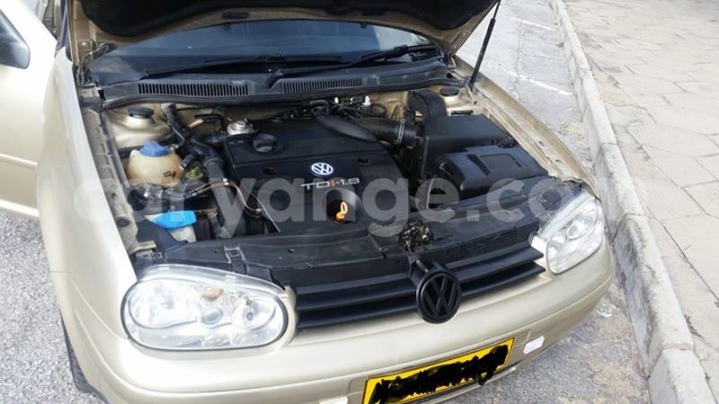 Big with watermark 16712011 1158145860969845 2370005447690403421 n