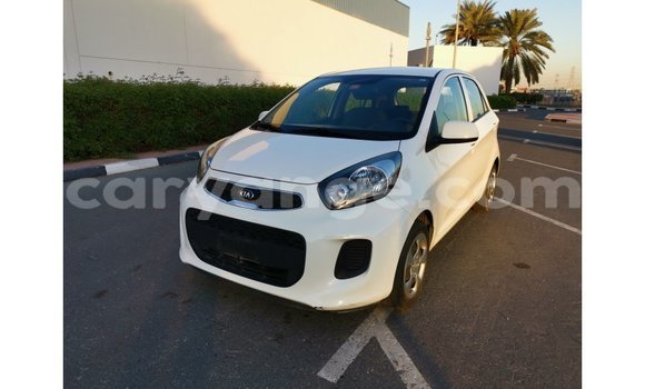 Acheter Import Voiture Kia Picanto Blanc à Import - Dubai, Namibie Acheter Import Voiture Kia Picanto Blanc à Import - Dubai, Namibie
