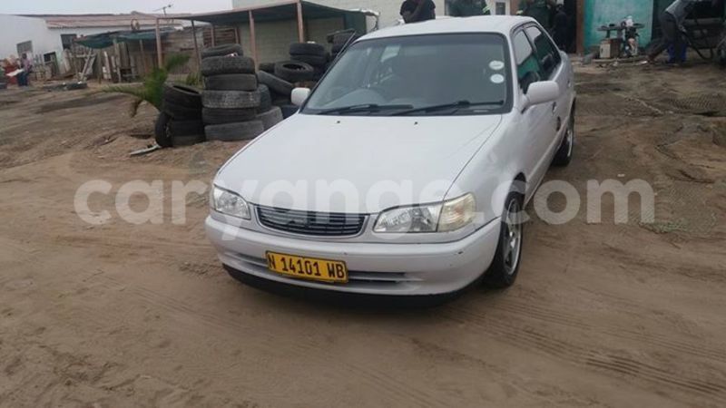 Big with watermark 16508402 687996474706900 565176718935992998 n