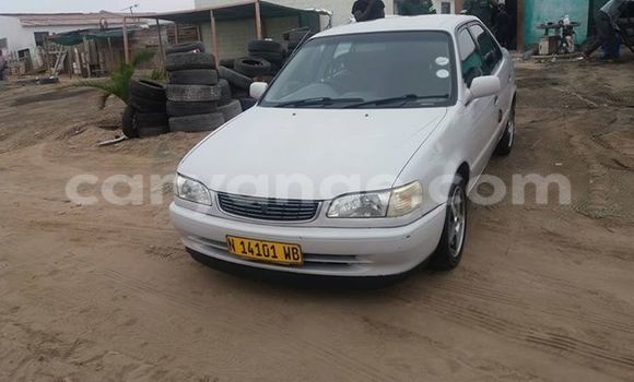 Buy Used Toyota Corolla Silver Car in Windhoek in Namibia Buy Used Toyota Corolla Silver Car in Windhoek in Namibia