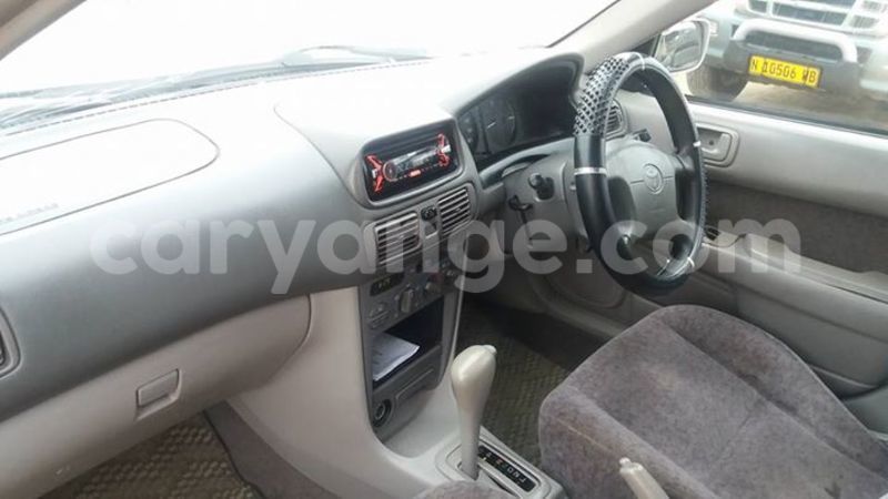 Big with watermark 16684261 1284056601632011 8943575257685139748 n