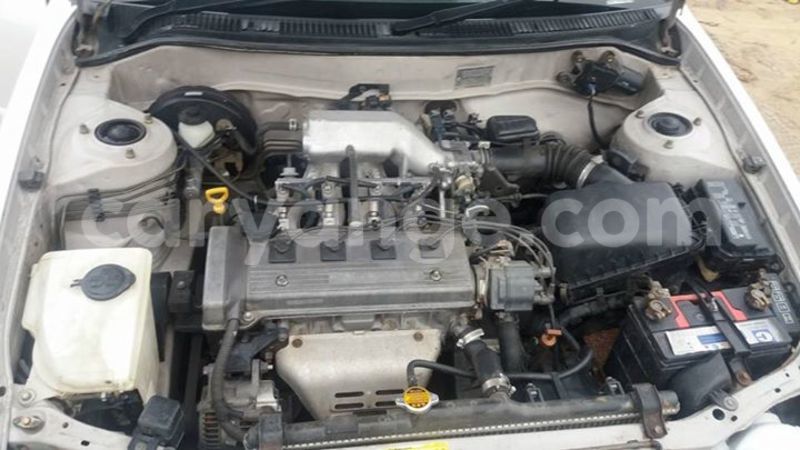 Big with watermark 16712011 1158145860969845 2370005447690403421 n