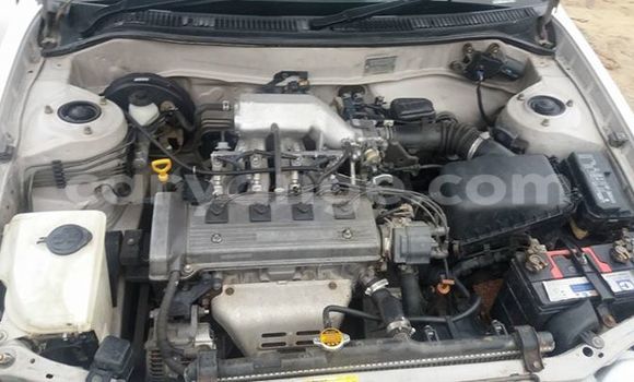 Buy Used Toyota Corolla Silver Car in Windhoek in Namibia Buy Used Toyota Corolla Silver Car in Windhoek in Namibia