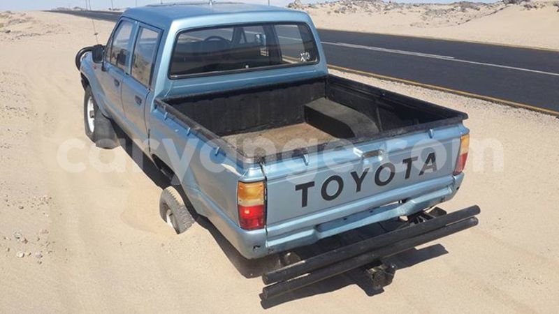 Big with watermark 16684261 1284056601632011 8943575257685139748 n