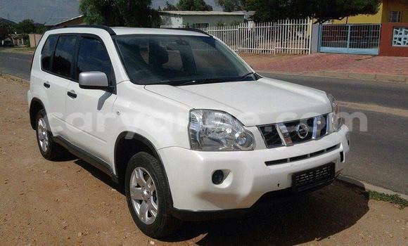 Buy Used Nissan X–Trail White Car in Windhoek in Namibia
