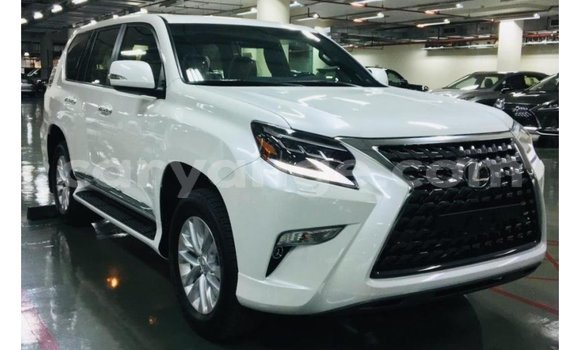 Buy Import Lexus GX White Car in Import - Dubai in Namibia Buy Import Lexus GX White Car in Import - Dubai in Namibia