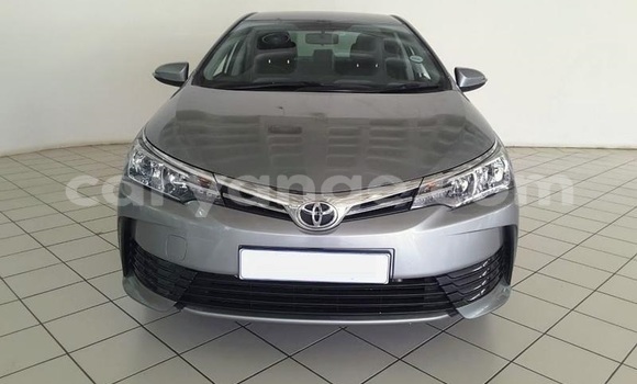 Acheter Occasion Voiture Toyota Corolla Gris à Windhoek, Namibie Acheter Occasion Voiture Toyota Corolla Gris à Windhoek, Namibie