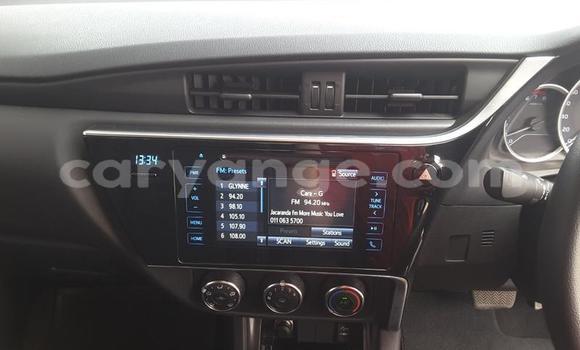 Acheter Occasion Voiture Toyota Corolla Gris à Windhoek, Namibie Acheter Occasion Voiture Toyota Corolla Gris à Windhoek, Namibie