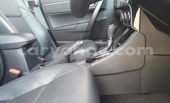 Acheter Occasion Voiture Toyota Corolla Gris à Windhoek, Namibie Acheter Occasion Voiture Toyota Corolla Gris à Windhoek, Namibie