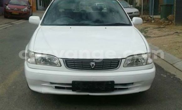 Buy Used Toyota Corolla White Car in Windhoek in Namibia Buy Used Toyota Corolla White Car in Windhoek in Namibia