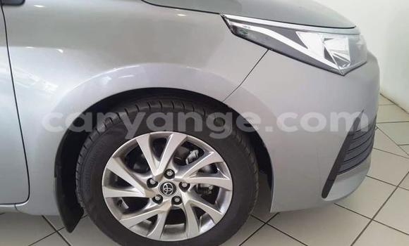 Acheter Occasion Voiture Toyota Corolla Gris à Windhoek, Namibie Acheter Occasion Voiture Toyota Corolla Gris à Windhoek, Namibie