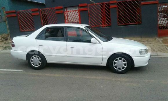 Buy Used Toyota Corolla White Car in Windhoek in Namibia Buy Used Toyota Corolla White Car in Windhoek in Namibia
