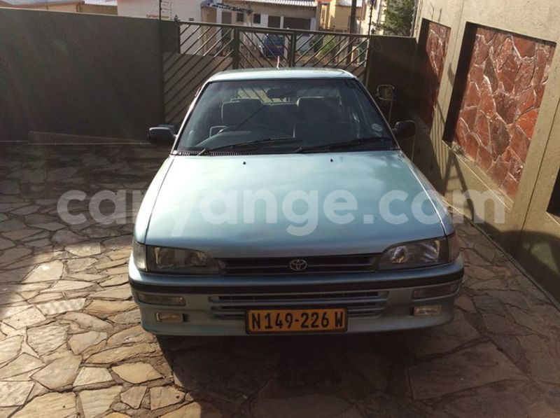 Big with watermark 16684261 1284056601632011 8943575257685139748 n