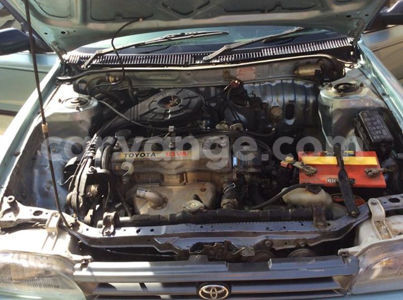 Big with watermark 16712011 1158145860969845 2370005447690403421 n