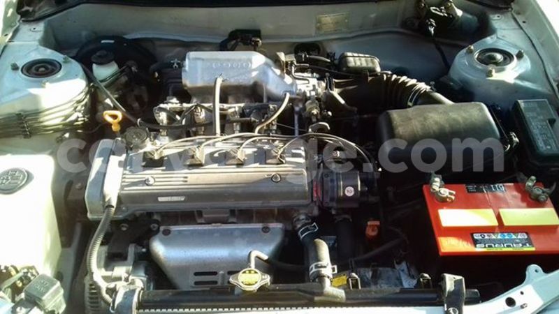 Big with watermark 16729479 216811802118464 8004625800169136656 n