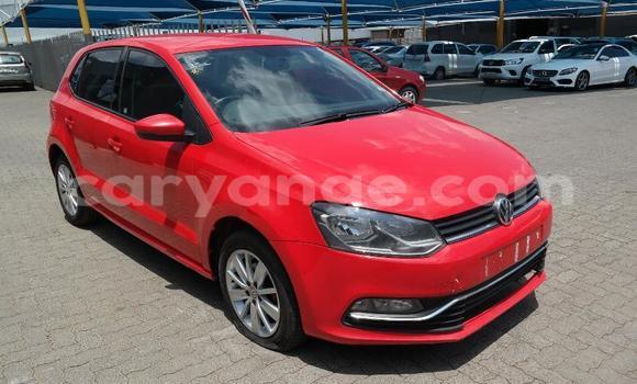 Buy Used Volkswagen Polo GTI Red Car in Windhoek in Namibia Buy Used Volkswagen Polo GTI Red Car in Windhoek in Namibia