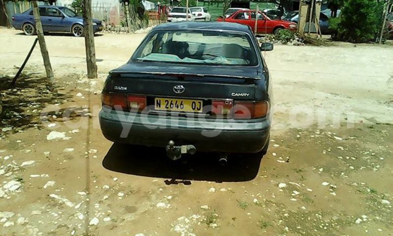 Big with watermark 17191162 1262958793790421 3182052266368934448 n