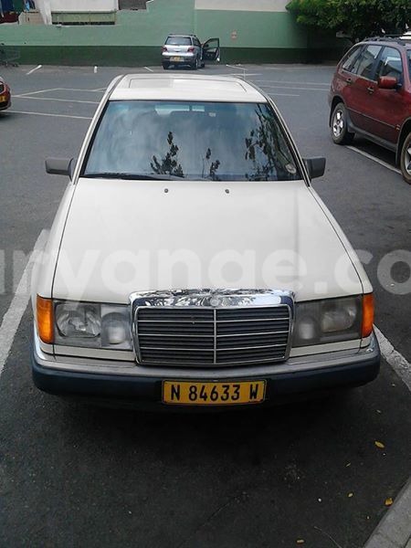 Big with watermark 16684261 1284056601632011 8943575257685139748 n