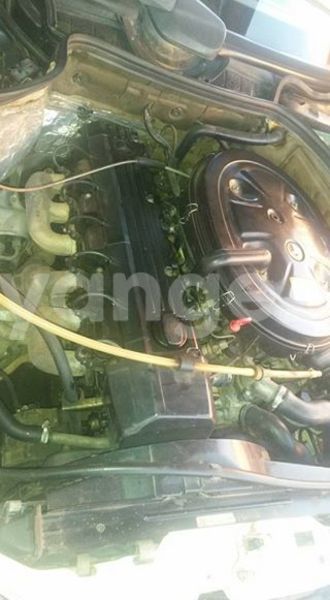 Big with watermark 16729479 216811802118464 8004625800169136656 n