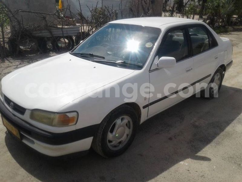 Big with watermark 16508402 687996474706900 565176718935992998 n