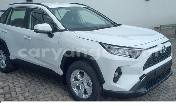 Buy Used Toyota RAV4 White Car in Windhoek in Namibia Buy Used Toyota RAV4 White Car in Windhoek in Namibia