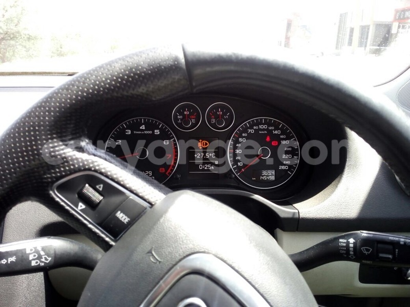 Big with watermark image