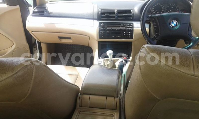 Big with watermark 17342716 136784040180539 8536093246308183350 n