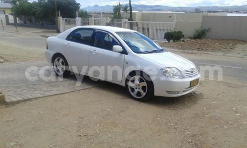 Big with watermark 16508402 687996474706900 565176718935992998 n