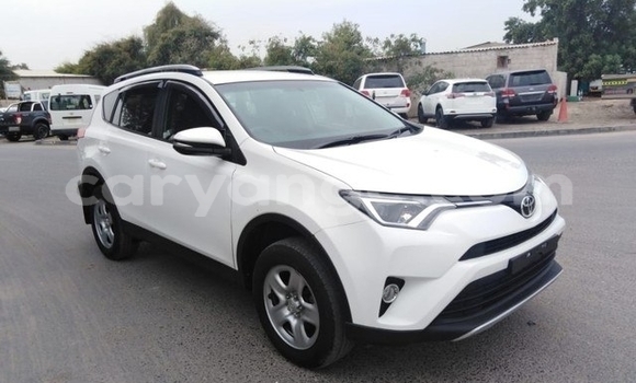Buy Used Toyota RAV4 White Car in Karasburg in Karas Buy Used Toyota RAV4 White Car in Karasburg in Karas