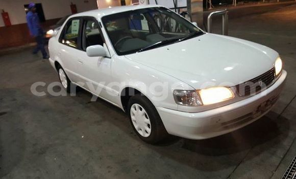 Buy Used Toyota Corolla White Car in Windhoek in Namibia Buy Used Toyota Corolla White Car in Windhoek in Namibia