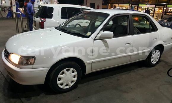 Buy Used Toyota Corolla White Car in Windhoek in Namibia Buy Used Toyota Corolla White Car in Windhoek in Namibia