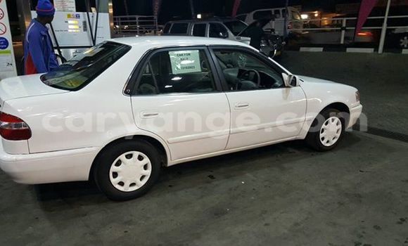 Buy Used Toyota Corolla White Car in Windhoek in Namibia Buy Used Toyota Corolla White Car in Windhoek in Namibia