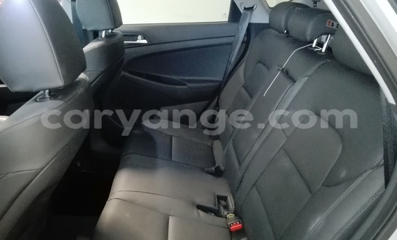 Buy Used Mercedes‒Benz Tipper White Truck in Henties Bay in Erongo Buy Used Mercedes‒Benz Tipper White Truck in Henties Bay in Erongo