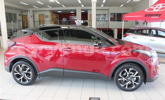 Buy Used Toyota C-HR Red Car in Karasburg in Karas Buy Used Toyota C-HR Red Car in Karasburg in Karas