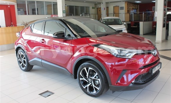 Buy Used Toyota C-HR Red Car in Karasburg in Karas Buy Used Toyota C-HR Red Car in Karasburg in Karas
