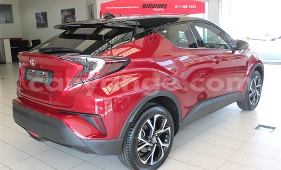 Buy Used Toyota C-HR Red Car in Karasburg in Karas Buy Used Toyota C-HR Red Car in Karasburg in Karas