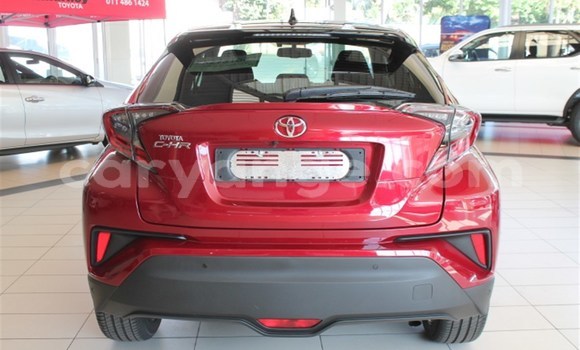 Buy Used Toyota C-HR Red Car in Karasburg in Karas Buy Used Toyota C-HR Red Car in Karasburg in Karas