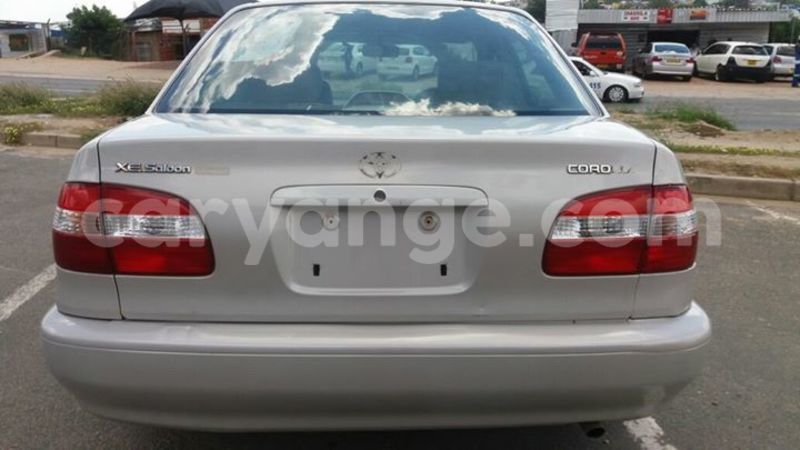 Big with watermark 17191162 1262958793790421 3182052266368934448 n