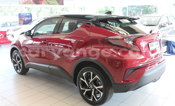 Buy Used Toyota C-HR Red Car in Karasburg in Karas Buy Used Toyota C-HR Red Car in Karasburg in Karas